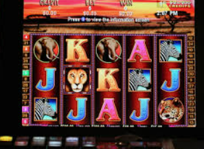 娱乐星空下载app最新版